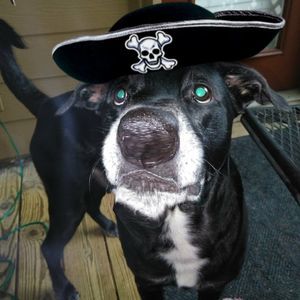 Meet your Posher, Jamie